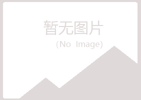 宁夏字迹造纸有限公司